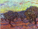 Vincent van Gogh Olive grove painting